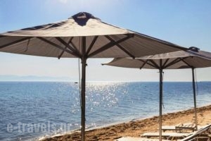 Ostria Sea Side Hotel_holidays_in_Hotel_Macedonia_Halkidiki_Kassandreia