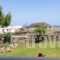 'Lindian Myth' Sea View Studios_best deals_Hotel_Dodekanessos Islands_Rhodes_Lindos