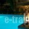 Studios Angela_best deals_Hotel_Aegean Islands_Samos_Pythagorio