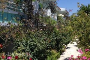 Studios Angela_lowest prices_in_Hotel_Aegean Islands_Samos_Pythagorio