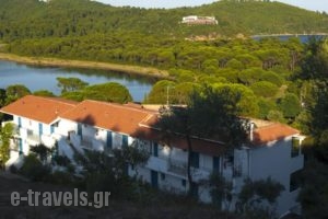 Aelia Studios_accommodation_in_Hotel_Sporades Islands_Skiathos_Skiathoshora