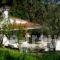 Ftelia_travel_packages_in_Sporades Islands_Skiathos_Skiathos Chora