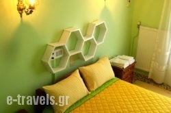 Hotel Alexandros_s __1