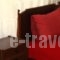 Alexandros Rooms_best deals_Room_Thessaly_Magnesia_Afissos