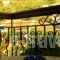 Hotel Alexandros_holidays_in_Hotel_Thessaly_Magnesia_Afissos