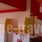 The White Rabbit_holidays_in_Hotel_Macedonia_Halkidiki_Kassandreia
