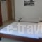 Angelos Studios_best prices_in_Hotel_Epirus_Preveza_Parga