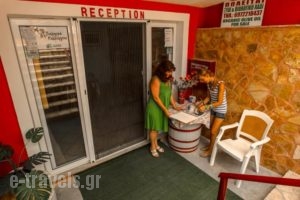 Villa Spiros_holidays_in_Villa_Ionian Islands_Zakinthos_Laganas
