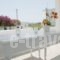 Yiannis Studios_best deals_Hotel_Cyclades Islands_Paros_Piso Livadi