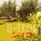 Poseidon Apartments_travel_packages_in_Peloponesse_Lakonia_Gythio