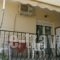 Ioannis Avrades Apartments_best prices_in_Apartment_Thessaly_Larisa_Agiokambos