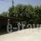Ioannis Avrades Apartments_holidays_in_Apartment_Thessaly_Larisa_Agiokambos