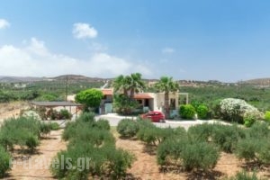 Kouremenos Beach Apartments_best prices_in_Apartment_Crete_Lasithi_Sitia