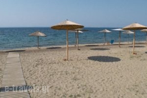 Mikiverna Houses & Apartments_holidays_in_Apartment_Macedonia_Halkidiki_Poligyros