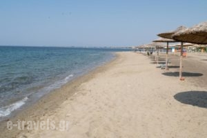 Mikiverna Houses & Apartments_accommodation_in_Apartment_Macedonia_Halkidiki_Poligyros