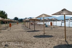 Mikiverna Houses & Apartments_travel_packages_in_Macedonia_Halkidiki_Poligyros