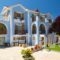 Nikos Studios and Apartments_best deals_Apartment_Ionian Islands_Kefalonia_Kefalonia'st Areas