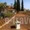 Hotel Alexandros_lowest prices_in_Hotel_Thessaly_Magnesia_Afissos