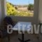 Mihalis Studios_best prices_in_Hotel_Dodekanessos Islands_Leros_Laki