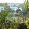 Villa Apollonia_holidays_in_Villa_Cyclades Islands_Sifnos_Apollonia