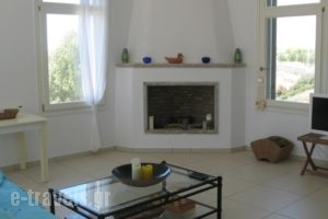 Margarita Home Hotel_holidays_in_Hotel_Cyclades Islands_Andros_Gavrio