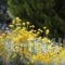 Villa Elenia_best prices_in_Villa_Ionian Islands_Lefkada_Lefkada's t Areas
