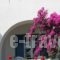 Silver Rocks Hotel_lowest prices_in_Hotel_Cyclades Islands_Paros_Paros Chora