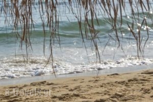 Dionysos Seaside Resort_holidays_in_Hotel_Cyclades Islands_Ios_Ios Chora