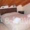 Summertime Inn_best prices_in_Hotel_Ionian Islands_Lefkada_Lefkada Chora