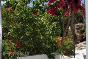 Alex_best prices_in_Hotel_Cyclades Islands_Tinos_Tinosora