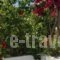 Alex_best prices_in_Hotel_Cyclades Islands_Tinos_Tinosora