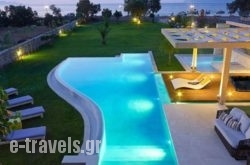 Villa Elvina_s __1