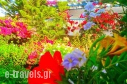 Angelika_s __1