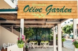 Elounda Olive Garden Apts & Studios_s __1