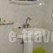 Dianthi Apartments_holidays_in_Apartment_Aegean Islands_Lesvos_Kalloni