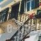 Melodia_lowest prices_in_Hotel_Cyclades Islands_Tinos_Tinos Chora