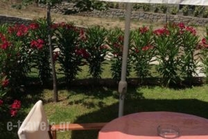 Ktima Amitsa Studios & Apartments_best deals_Apartment_Macedonia_Halkidiki_Toroni