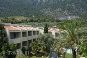 Levendi Hotel_best prices_in_Hotel_Central Greece_Fthiotida_Kamena Vourla