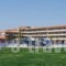 Princess Sun Hotel_holidays_in_Hotel_Dodekanessos Islands_Rhodes_kiotari