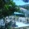 Moscha Studios_travel_packages_in_Cyclades Islands_Andros_Batsi