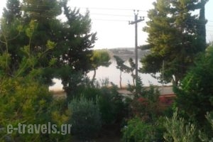 Elea Guesthouse_lowest prices_in_Hotel_Central Greece_Fokida_Galaxidi