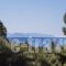 Villa Drossia_lowest prices_in_Villa_Peloponesse_Lakonia_Gythio