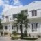 Lion-Suites_holidays_in_Hotel_Crete_Chania_Kalyves