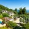 Thassian Villas_holidays_in_Villa_Aegean Islands_Thasos_Thasos Chora