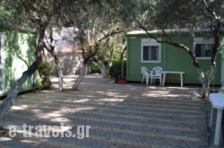 Camping Chania_s __1