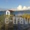 Villa Chrisanthi_best prices_in_Villa_Aegean Islands_Lesvos_Lesvos Rest Areas