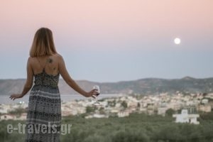 Elea Villas_lowest prices_in_Villa_Crete_Chania_Pirgos Psilonerou