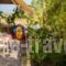 Golden Sun_holidays_in_Hotel_Aegean Islands_Lesvos_Mytilene