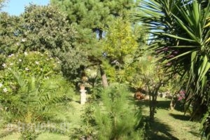 Rouseli Apartments_holidays_in_Apartment_Ionian Islands_Corfu_Corfu Rest Areas