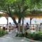 Ikaria Utopia - Cusco Studios_travel_packages_in_Aegean Islands_Ikaria_Evdilos